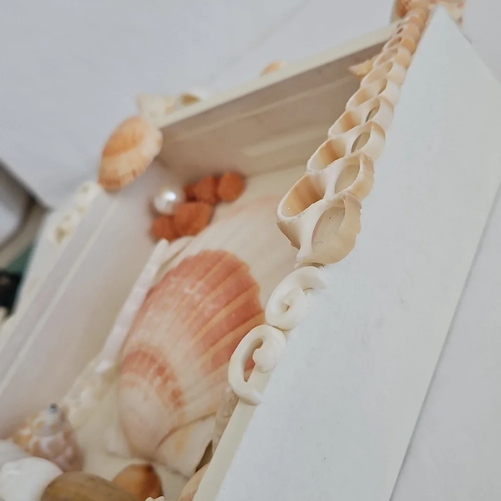 N/A natural shell